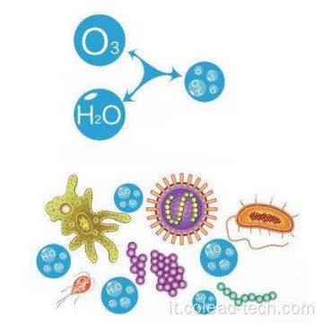 Macchina di sterilizzazione dell&#39;ozono di frutta vegetale